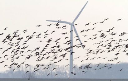 Nejnovější nápad vlády: Chce větrníky za 12 miliard