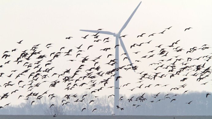 Nejnovější nápad vlády: Chce větrníky za 12 miliard