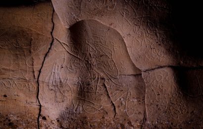 15,000 years old carvings of scores of animals unearthed in Spanish cave