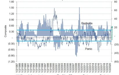 Euphoria Hits Dot Com Insanity High