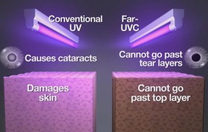 Japonští vědci nalezli vhodnou vlnovou délku UV světla pro zneškodnění virů