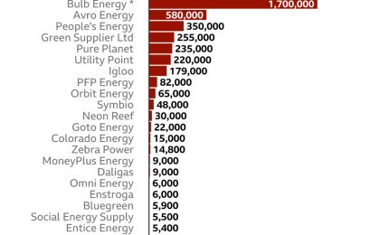 Collapse of Energy Suppliers