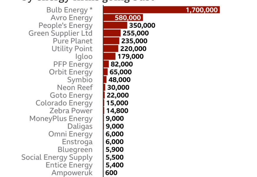 Collapse of Energy Suppliers