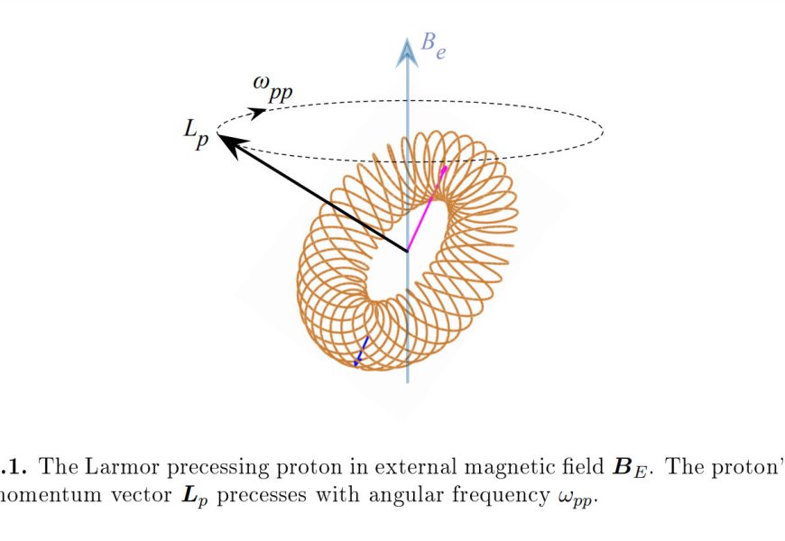 A Toroidal Model of the Proton and Electron