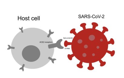 The Role Of Spike Protein In Myocarditis And Blood Clotting