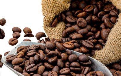 EU zakáže dovoz kávy, kakaa, sóji z odlesněné půdy