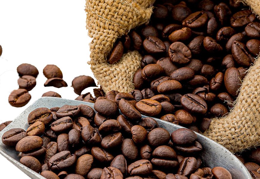 EU zakáže dovoz kávy, kakaa, sóji z odlesněné půdy